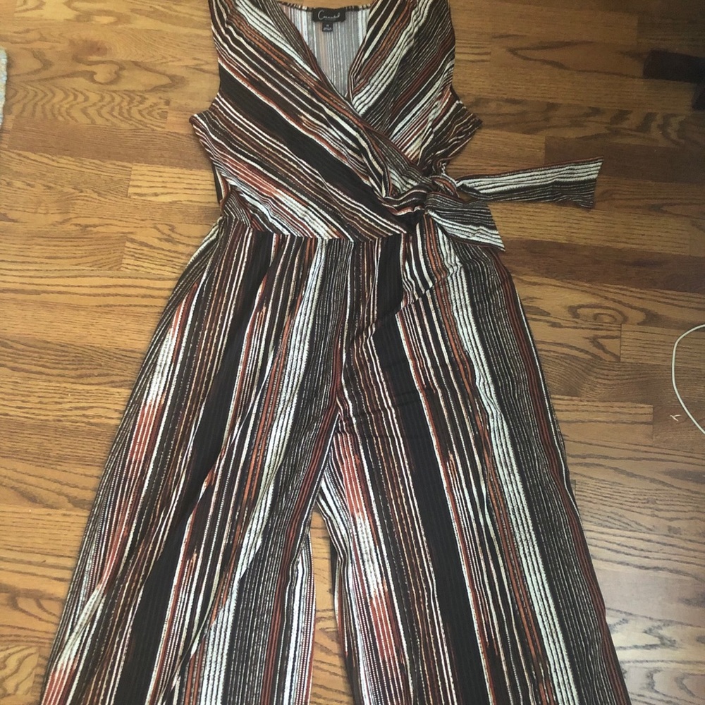 Neutral Striped Gaucho Jumpsuit
